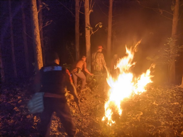 PEMADAMAN: Tim gabungan berusaha memadamkan api yang membakar hutan Perhutani di Kecamatan Kemlagi, tadi malam. (BPBD Kabupaten Mojokerto for Jawa Pos Radar Mojokerto)