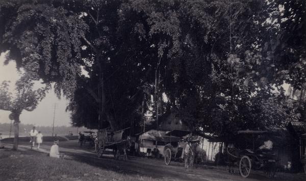 SARANA TRANSPORTASI: Kusir delman trayek Mojokerto-Sidoarjo menunggu penumpang kisaran tahun 1910-an. (tropen museum)
