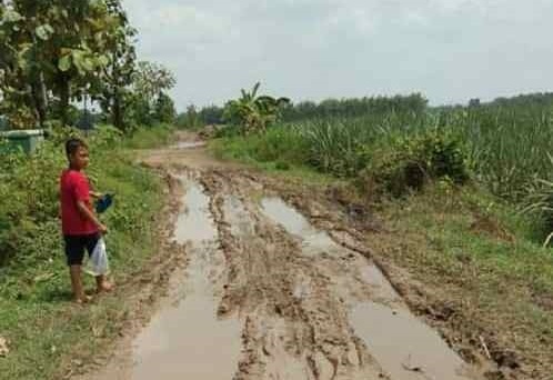 MIRIS: Kondisi jalan desa di Dusun Kajangan Kidul, Desa Mojokusumo, Kecamatan Kemlagi, yang rusak, kemarin (24/10). (Yulianto Adi Nugroho/Jawa Pos Radar Mojokerto)