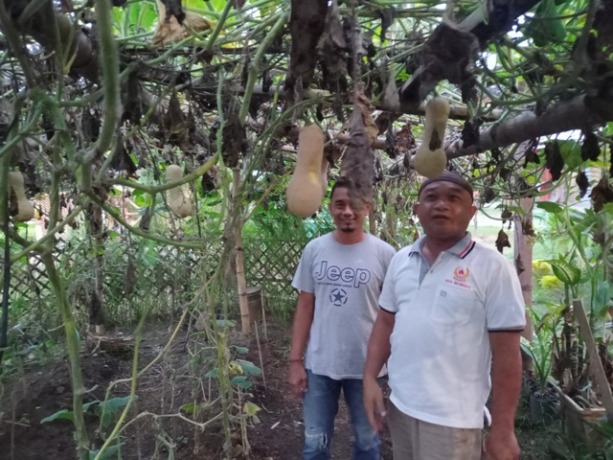 BERNILAI EKONOMIS: Henny dan Ronda menunjukkan kebuh labu madu di Kampung Kali Tlusur, Lingkungan Sinoman, Kelurahan Miji, Kecamatan Kranggan, Kota Mojokerto, kemarin.