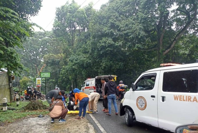 DIEVAKUASI: Sejumlah relawan tengah mengevakuasi korban kecelakaan akibat rem blong di Jalur Pacet – Cangar, Desa/Kecamatan Pacet, Kabupaten Mojokerto, kemarin.