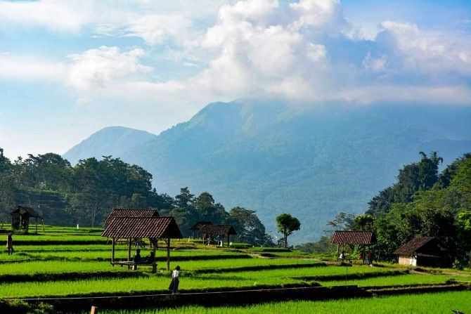 APIK: Wisata alam yang instagramable di Desa Ketapanrame, Kecamatan Trawas, Kabupaten Mojokerto, Jawa Timur. (dok Jawa Pos Radar Mojokerto)