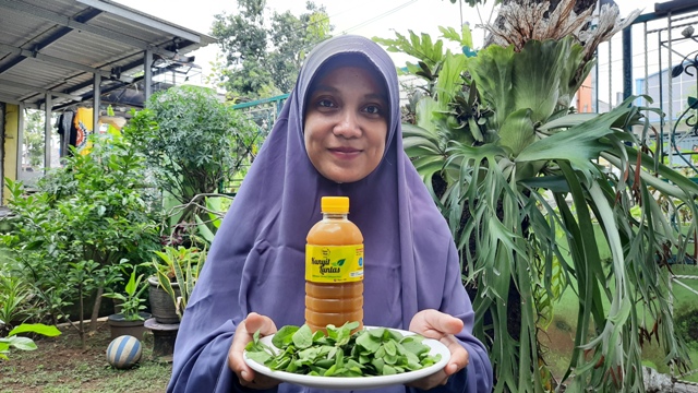 TRADISONAL: Aprilia Dwi Pravitasari menunjukkan hasil olahan jamu kunyit yang diolah dengan bahan daun beluntas. (Sofan Kurniawan/Jawa Pos Radar Mojokerto)