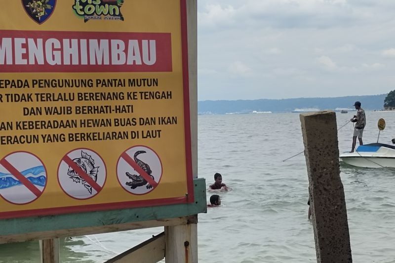 Arsip Foto. Imbauan untuk mewaspadai buaya dan binatang laut yang dapat membahayakan dipasang di kawasan pantai di Kota Bandar Lampung, Provinsi Lampung. (ANTARA/Dian Hadiyatna)