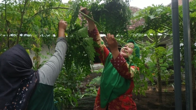 KREATIF: Ibu-ibu warga Desa Balongmojo, Kecamatan Puri saat memproduksi pentol kelor. (Farisma Romawan/JPRM)