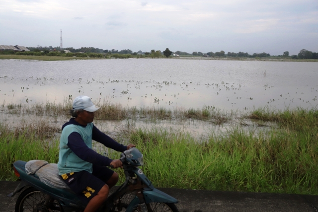 LANGGANAN: Pengguna jalan melintas di sekitar sawah Desa Tempuran, Kecamatan Sooko, Kabupaten Mojokerto, yang terendam banjir, kemarin. (Sofan Kurniawan/JPRM)