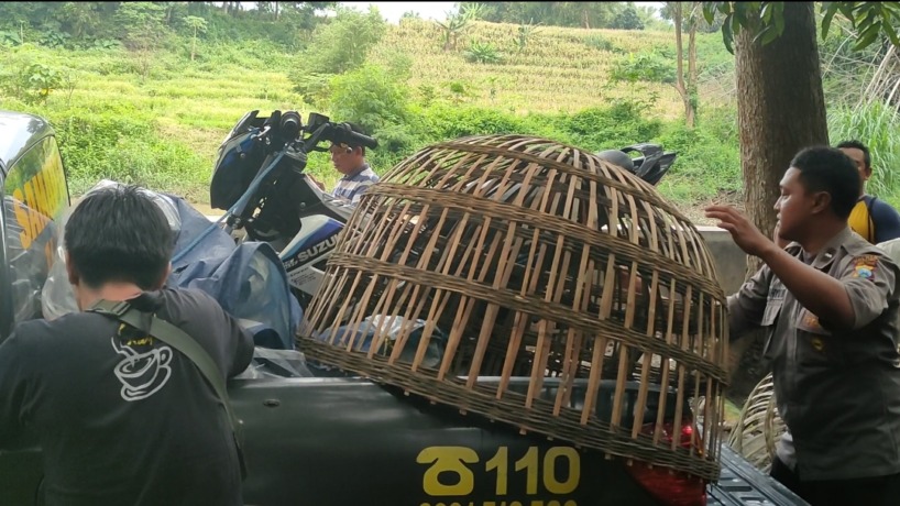 YANG TERTINGGAL: Polisi mengamankan sejumlah barang dari arena sabung ayam di Dusun/Desa Ngembeh, Kecamatan Dlanggu, Kabupaten Mojokerto, kemarin. (Yulianto Adi Nugroho/JPRM)