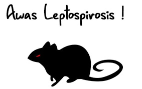 Ilustrasi leptospirosis. (dok JawaPos.com)