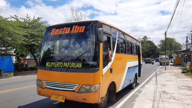 TRANSPORTASI: Armada bus yang hingga kini masih bertahan melayani angkutan jurusan Mojokerto-Pasuruan.