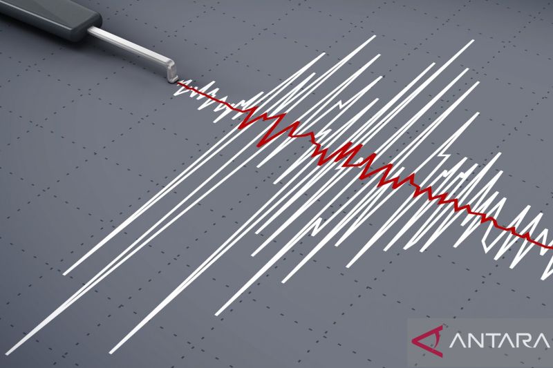Gempa Bumi Guncang Kalimantan Selatan dan Bali, Getaran Terasa hingga Banyuwangi
