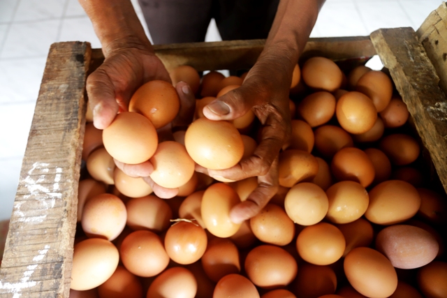 MELAMBUNG: Komoditas telur ayam ras yang dijajakan pedagang di salah satu kios di Jalan PB Sudirman, Kota Mojokerto. (Sofan Kurniawan/JPRM)