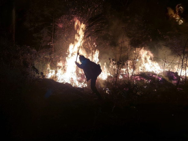 BERKOBAR: Petugas berusaha memadamkan kebakaran di lereng Gunung Welirang menggunakan ranting pohon, Kamis (25/5) malam. (dok Tahura Raden Soerjo for JPRM)
