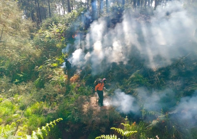 DARURAT: Petugas gabungan memadamkan karhutla di lereng Gunung Welirang, Desa Ketapanrame, Kecamatan Trawas, 27 Mei lalu. Pemkab bersama pihak terkait mengaktifkan posko karhutla setelah penetapan status tanggap darurat bencana diberlakukan. (dok JPRM)