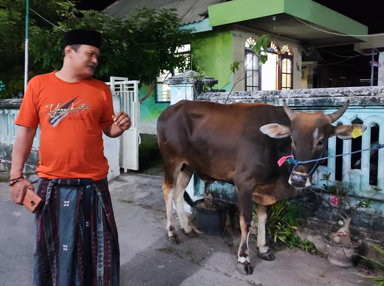 SAPI KAPOLRI : Sapi kurban Kapolri saat berada di Ponpes Zainal Abidin, Kecamatan Bungah.