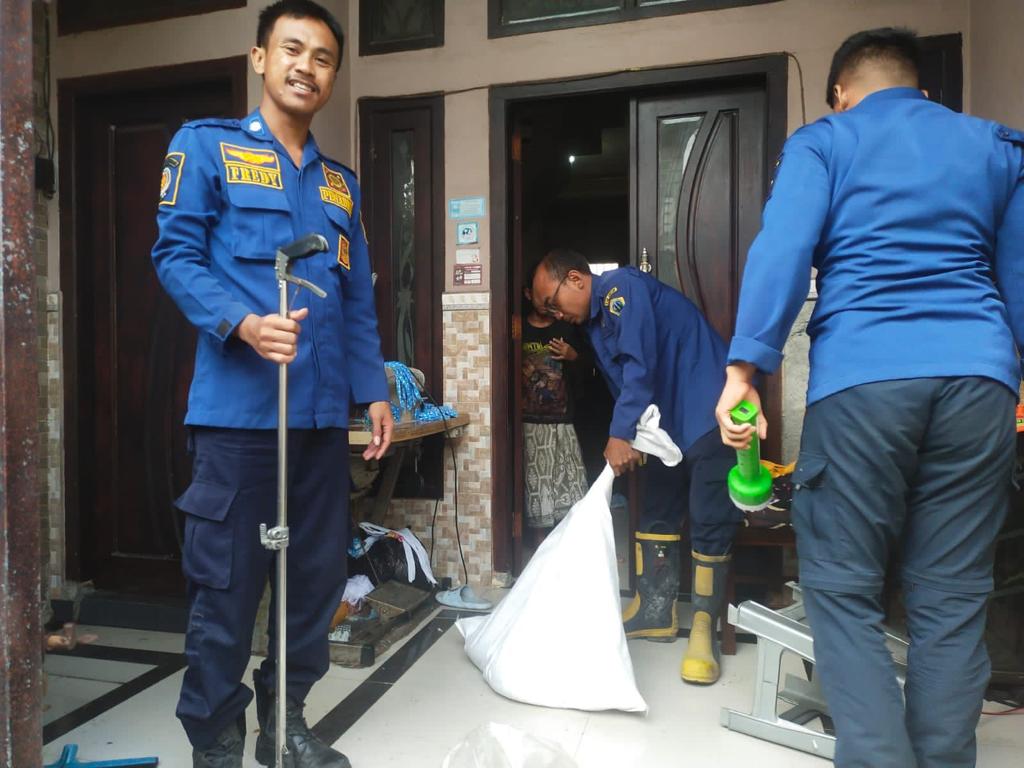 MENENGANGKAN : Petugas damkarla Gresik mengevakuasi ular piton yang masuk ke rumah warga.