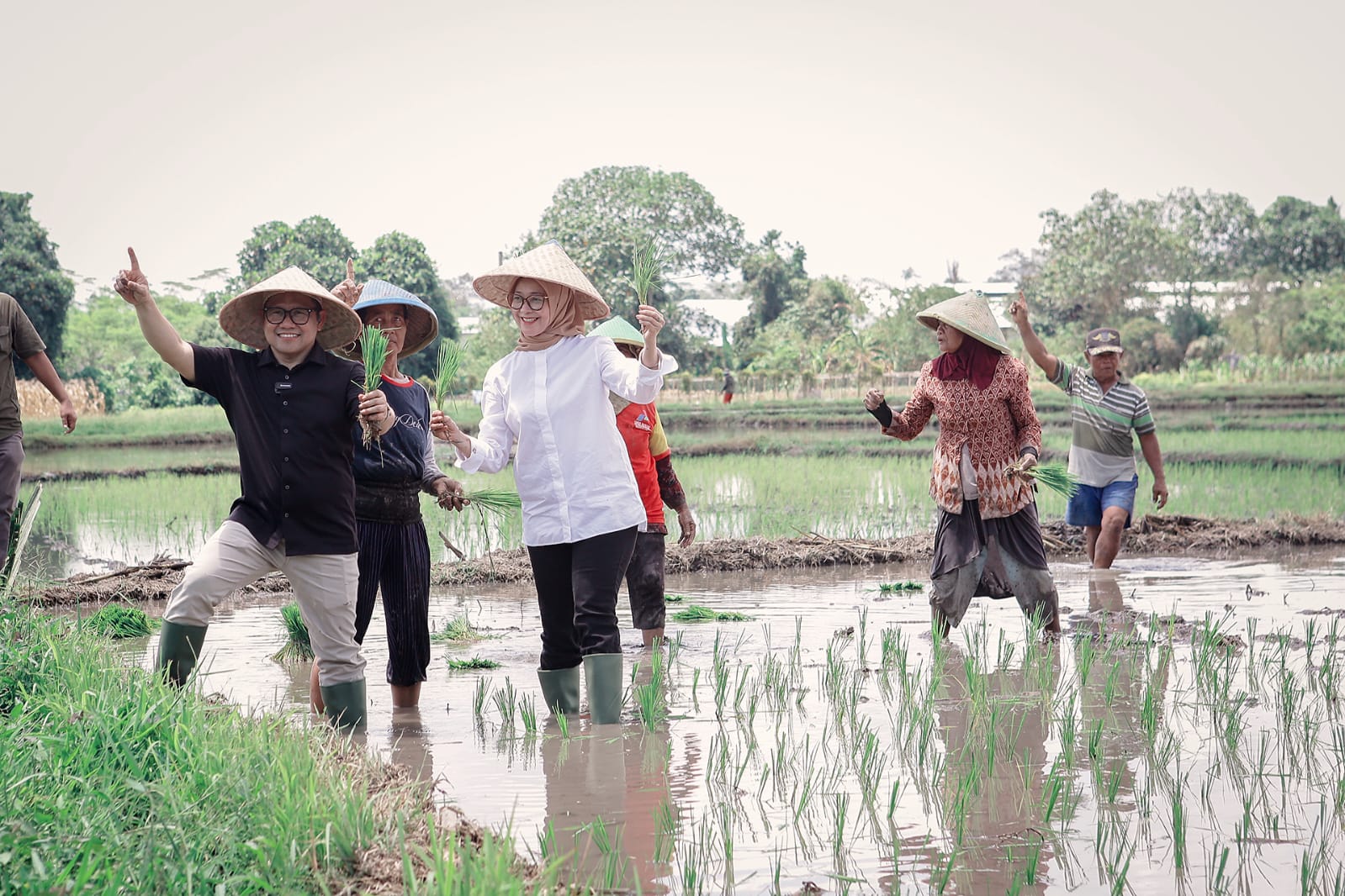 TERJUN LANGSUNG: Cawapres 01 Muhaimin Iskandar saat menanam padi bersama petani di Banyuwangi beberapa waktu lalu.