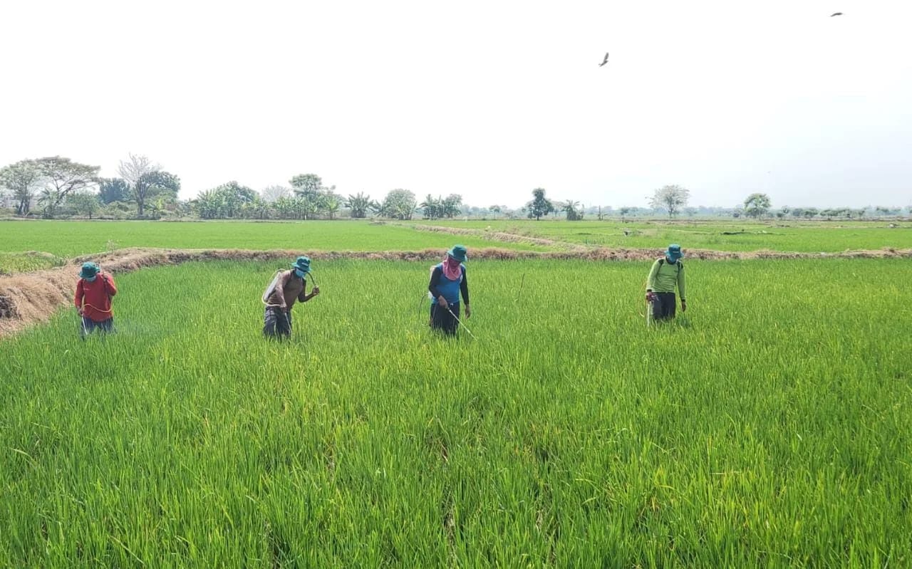 Sektor pertanian dan perikanan jadi penyumbang inflasi terbesar di Kabupaten Gresik