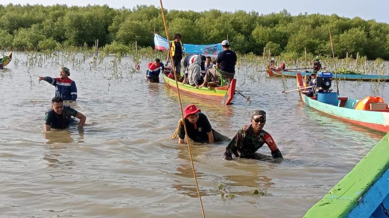 TANAM MANGROVE: Anggota Koramil Ujungpangkah bersama masyarakat dan nelayan melakukan penanam mangrove di pesisir pantai Desa Pangkah Kulon, Kecamatan Ujungpangkah, Gresik.