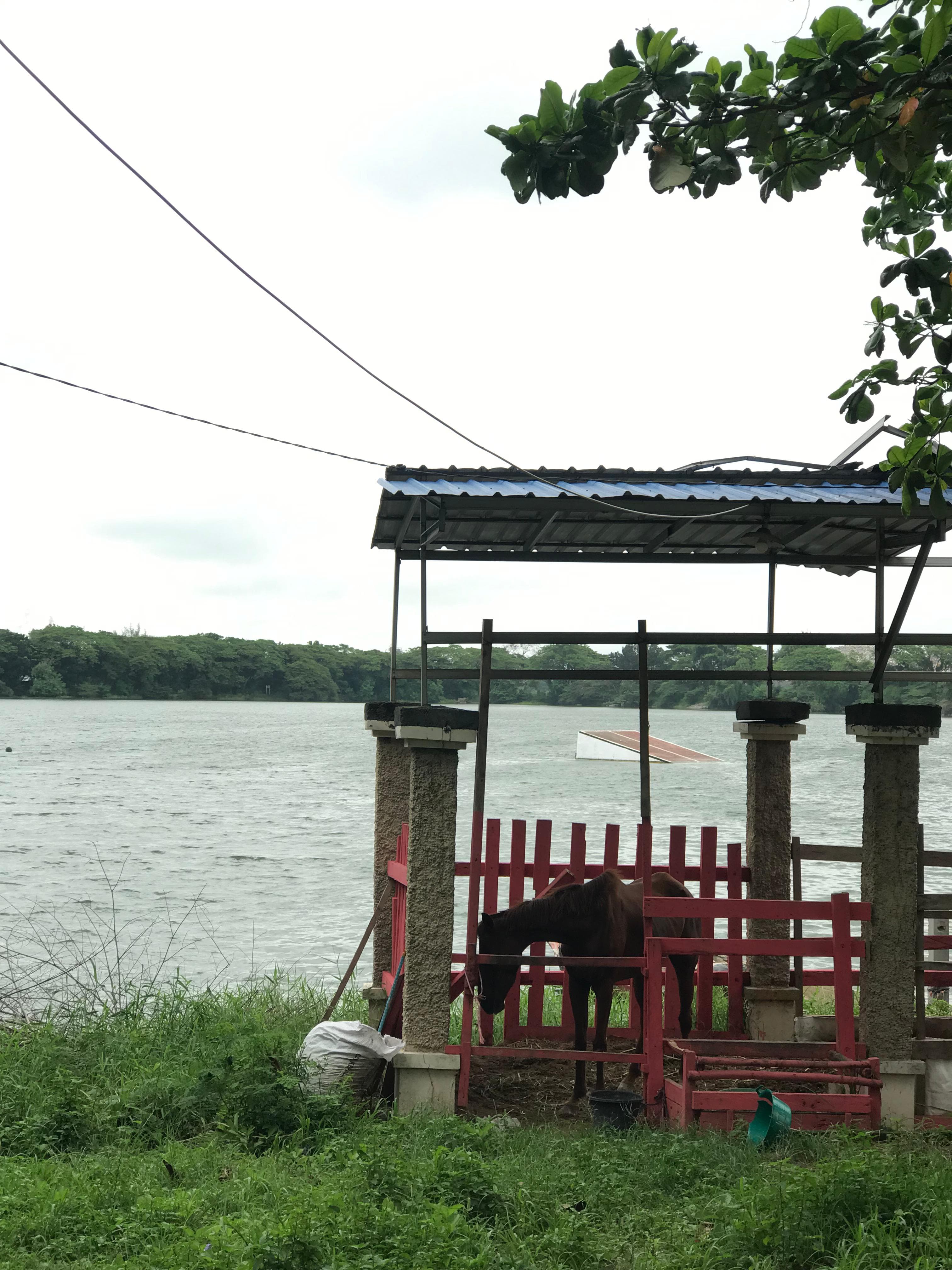 SEMILIR: Suasana asri Telaga Ngipik yang menjadi destinasi wisata asyik di Gresik Kota.