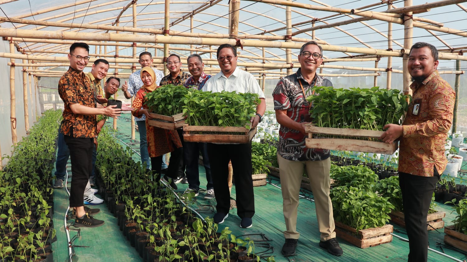 Menengok Green Teach Ala K3PG, Kembangkan Tanaman Buah dan Sayur di Kawasan Perumahan Gresik.
