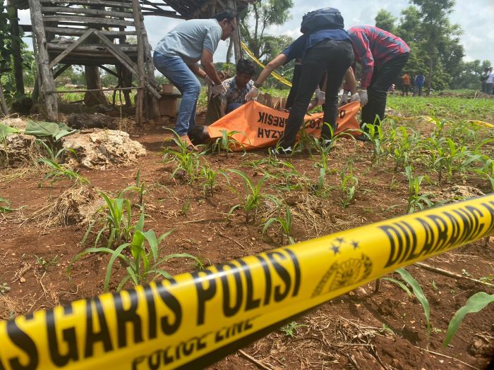 EVAKUASI: Polres menemukan ada racun dalam tubuh saksi pembunuhan di Imaan.