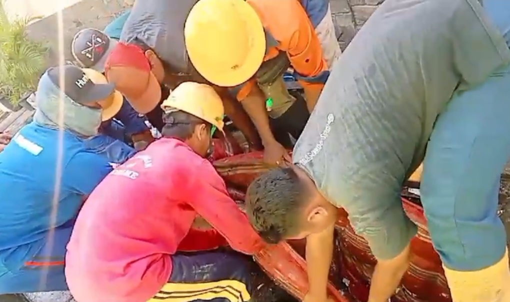 Petugas Dinas CKPKP Gresik saat mengeluarkan kasur yang menyumbat saluran air.