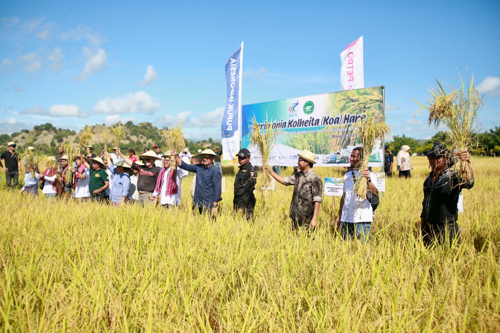 Panen raya "The Rice Harvest Ceremony" bersama Presiden Timor Leste, Jose Manuel Ramos Horta di Kecamatan Vemasse, Timor Leste.