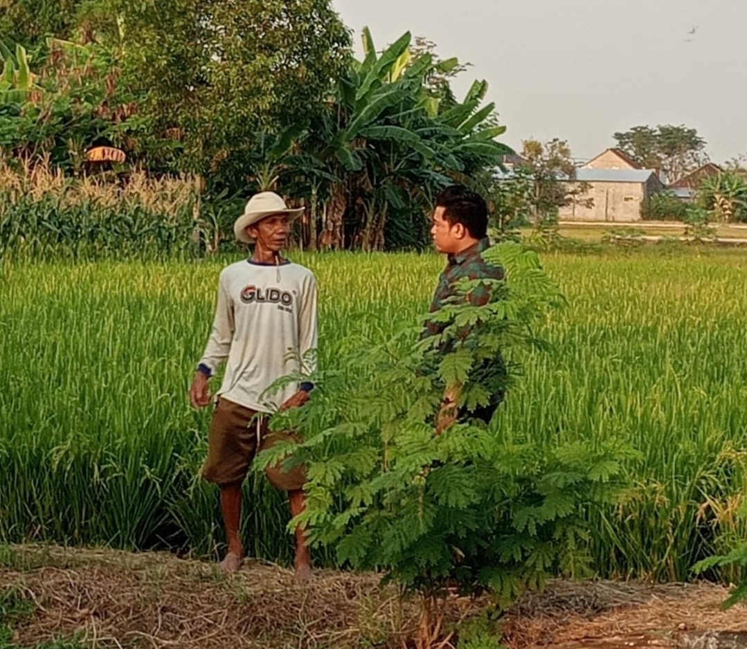 Syahrul Munir Anggota Komisi II DPRD Gresik yang juga Bacabup saat menemui sejumlah petani di Desa Wahas, Balongpanggang.