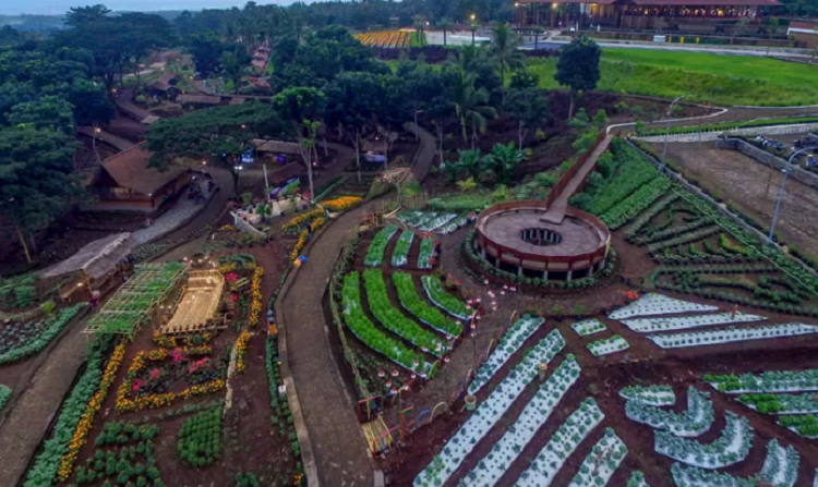 PESONA: Wisata Agro Wisata Tamansuruh yang baru dibuka menjadi daya tarik wisatawan