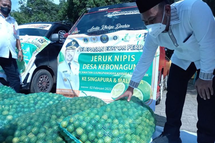 MELIMPAH RUAH: Jeruk asal Ujungpangkah juga berhasil ekspor saat kepemimpinan Gus Yani.
