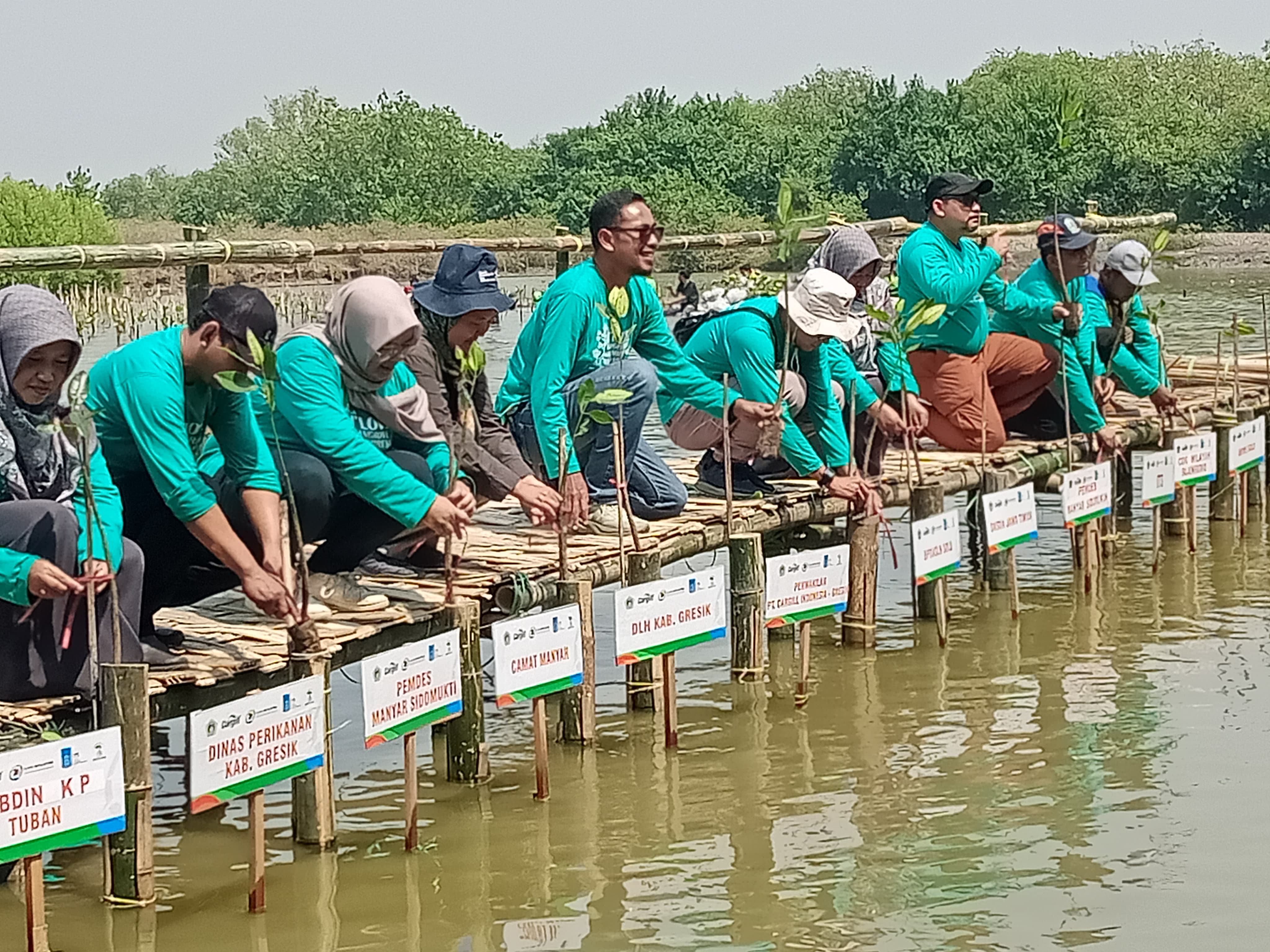 Foto 1 : TANAM MANGROVE : Gresik Admin & Relation Manager, Food Solutions Southeast Asia, Cargill Adi Suprayitno, Yayasan Elang Katulistiwa Adipavitra, ITS dan warga saat menanam bibit Mangrove