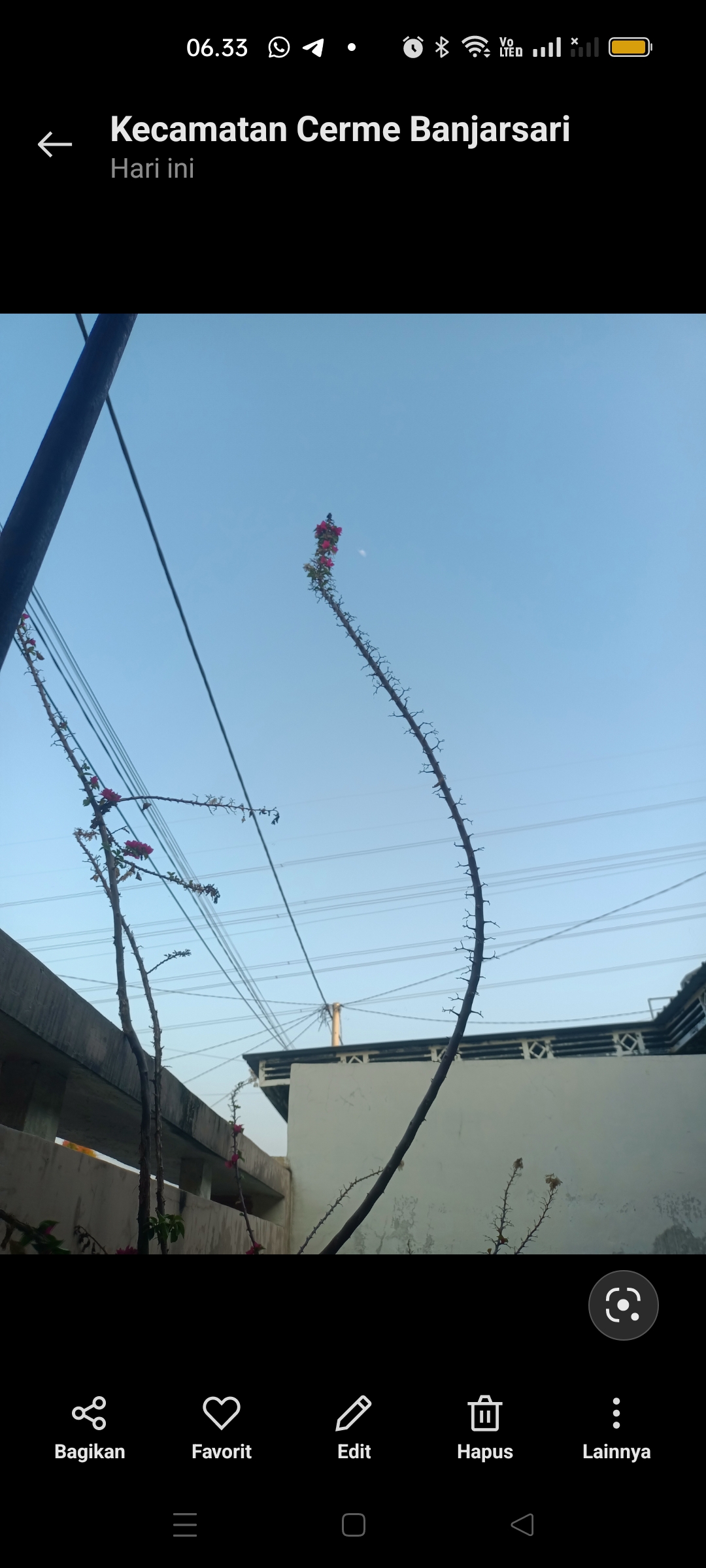 Cuaca di Gresik terasa berawan dan cerah seharian