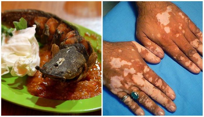 BELANG-BELANG: Banyak masyarakat yang percaya jika ikan lele tidak boleh dikonsumsi bagi masyarakat Lamongan dan Gresik