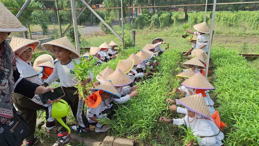 Salah satu kegiatan outdoor TK Muslimat NU 254 Nurul Ishlah yang meraih sekolah ramah anak.