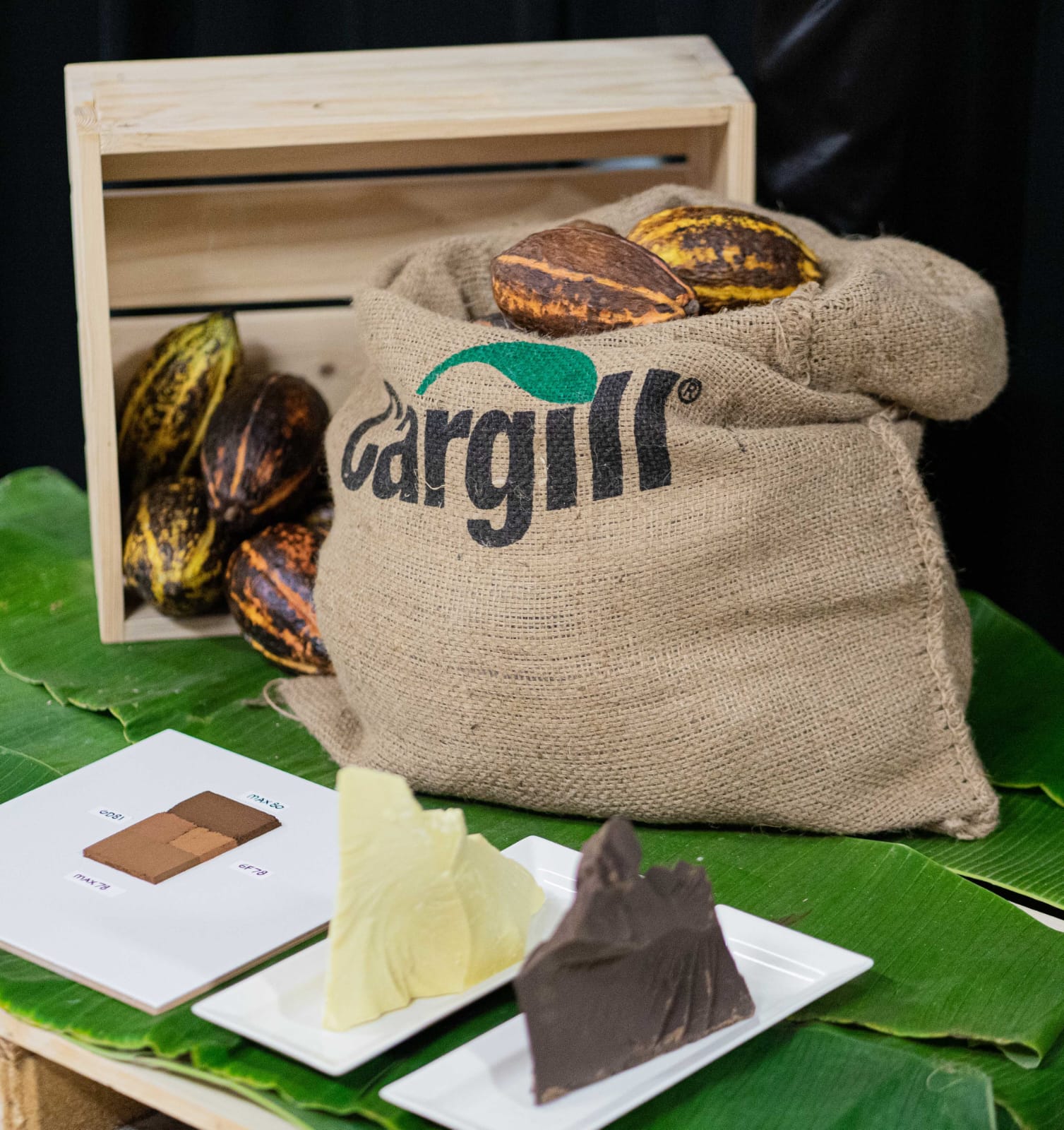 POTENSIAL: Produksi kakao baru yang diproduksi oleh Cargill