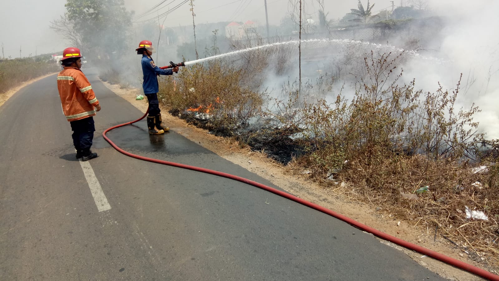 KEBAKARAN : Anggota Damkarla Gresik saat melakukan pemadaman semak - semak yang terbakar di wilayah Kabupaten Gresik.