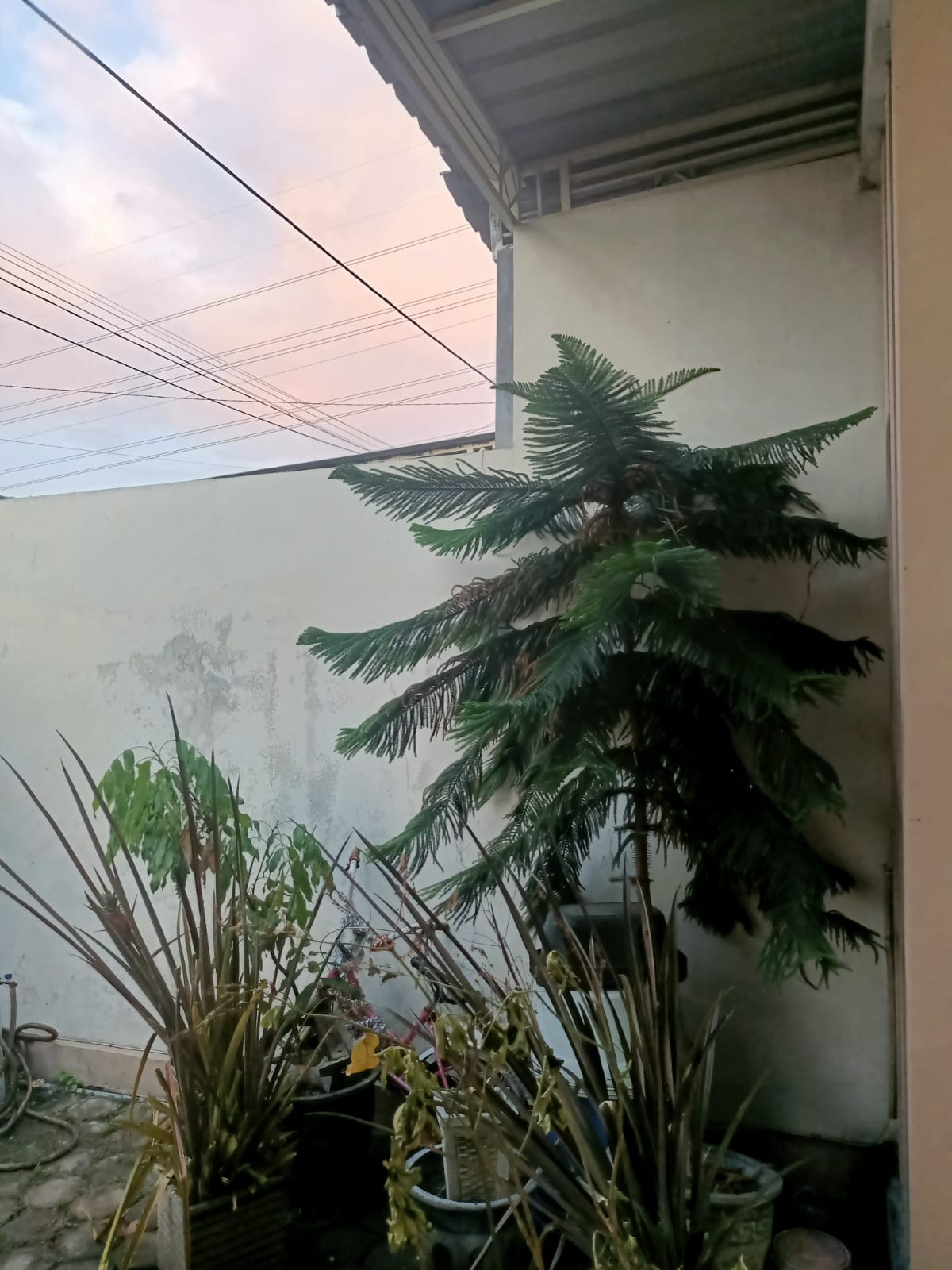 Prakiraan cuaca di Gresik dan sekitarnya yang diprediksi masih hujan