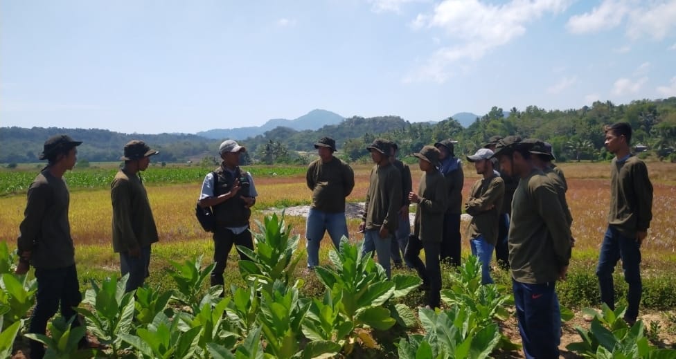 KETAHANAN PANGAN: Pemkab Gresik mengoptimalkan ketahanan pangan di Desa Klumpanggubuk Bawean Gresik.