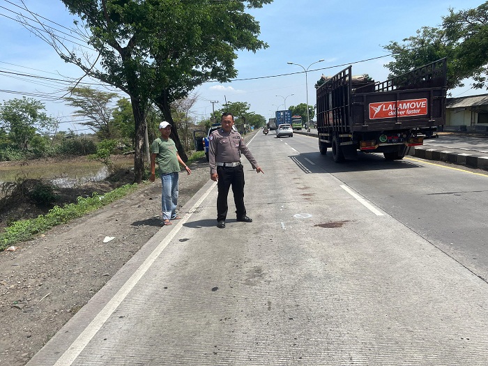 OLAH TKP: Polisi melakukan olah TKP kecelakaan yang menyebabkan pengendara sepeda motor terjepit di bawah bemper bus di Jalan Raya Desa Tumapel, Kecamatan Duduksampeyan, Gresik