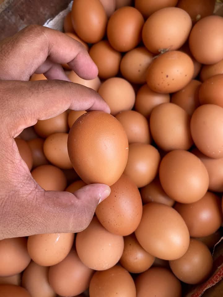 NAIK: Harga telur ayam di pasar di wilayah Kabupaten Gresik menjelang Nataru naik dikeluhkan masyarakat.