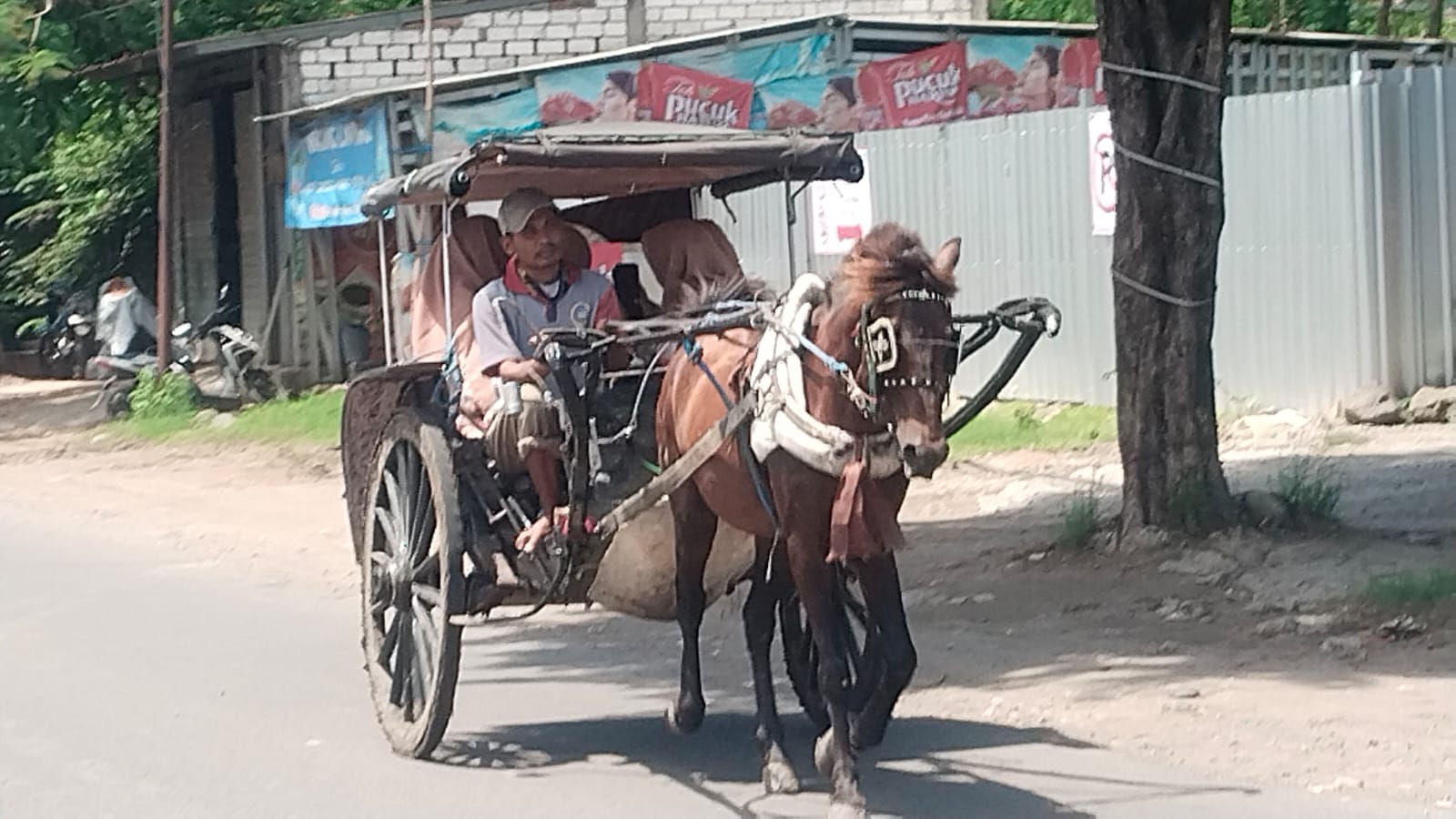 Pak Mat, sopir dokar berusia 65 tahun telah bekerja sebagai supir kereta kuda sejak tahun 1995.
