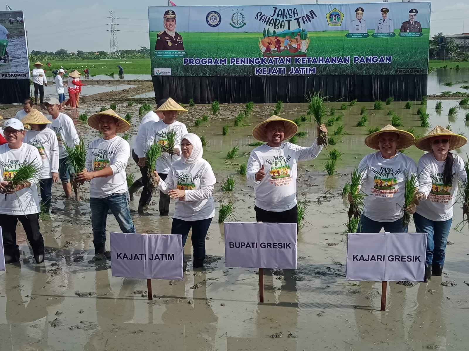 TANAM PADI :  Bupati Gresik Fandi Akhmad Yani, Direktur Utama PT Petrokimia Gresik, Dwi Satriyo, Kepala Kejati Jatim Mia Amiati,  pejabat Forkopimda Gresik dan para petani saat menanam bibit padi