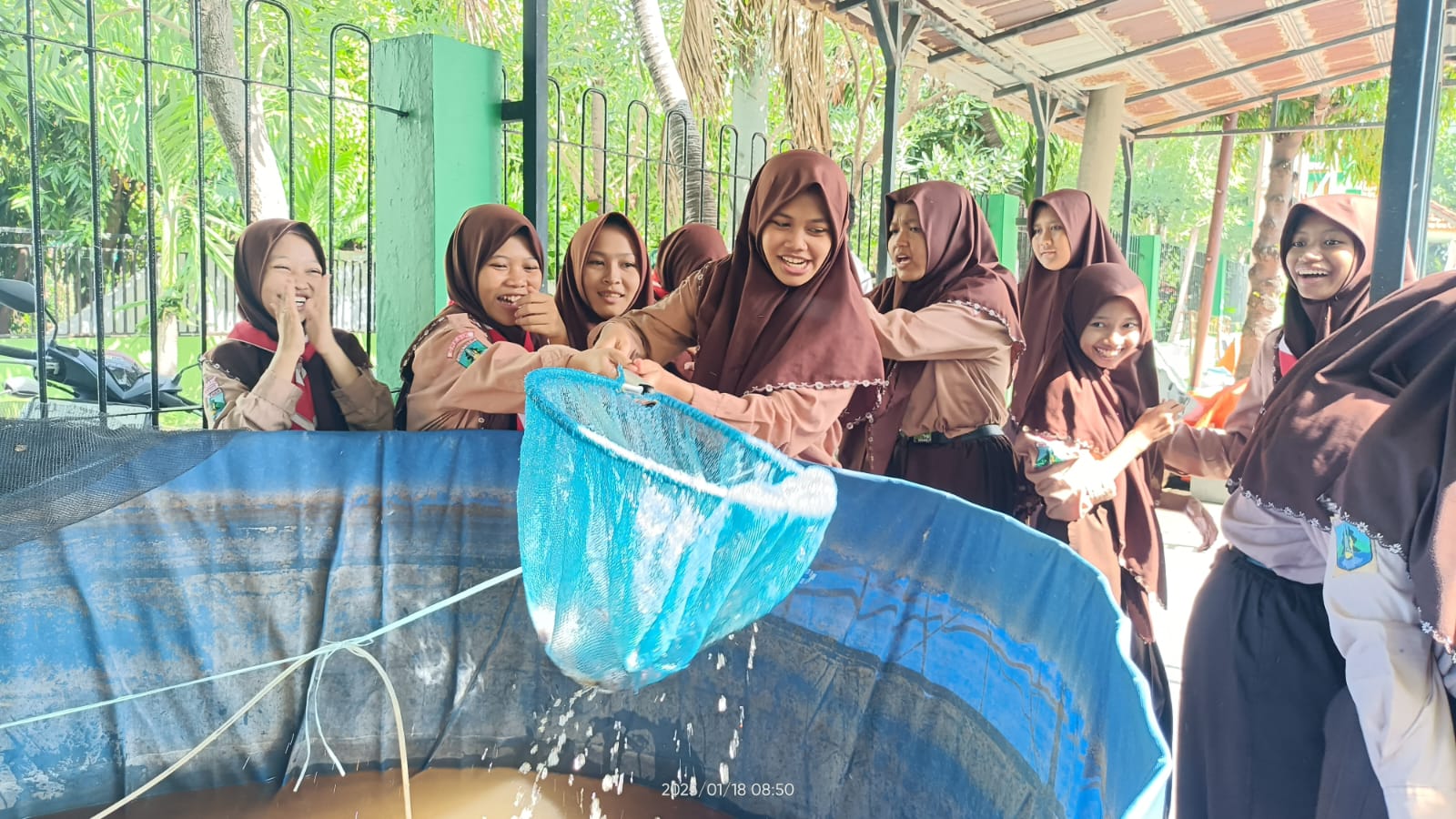 CERIA: Para Peserta Tour School di SMA NU 2 Gresik nampak gembira saat memanen hasil budidaya lele.