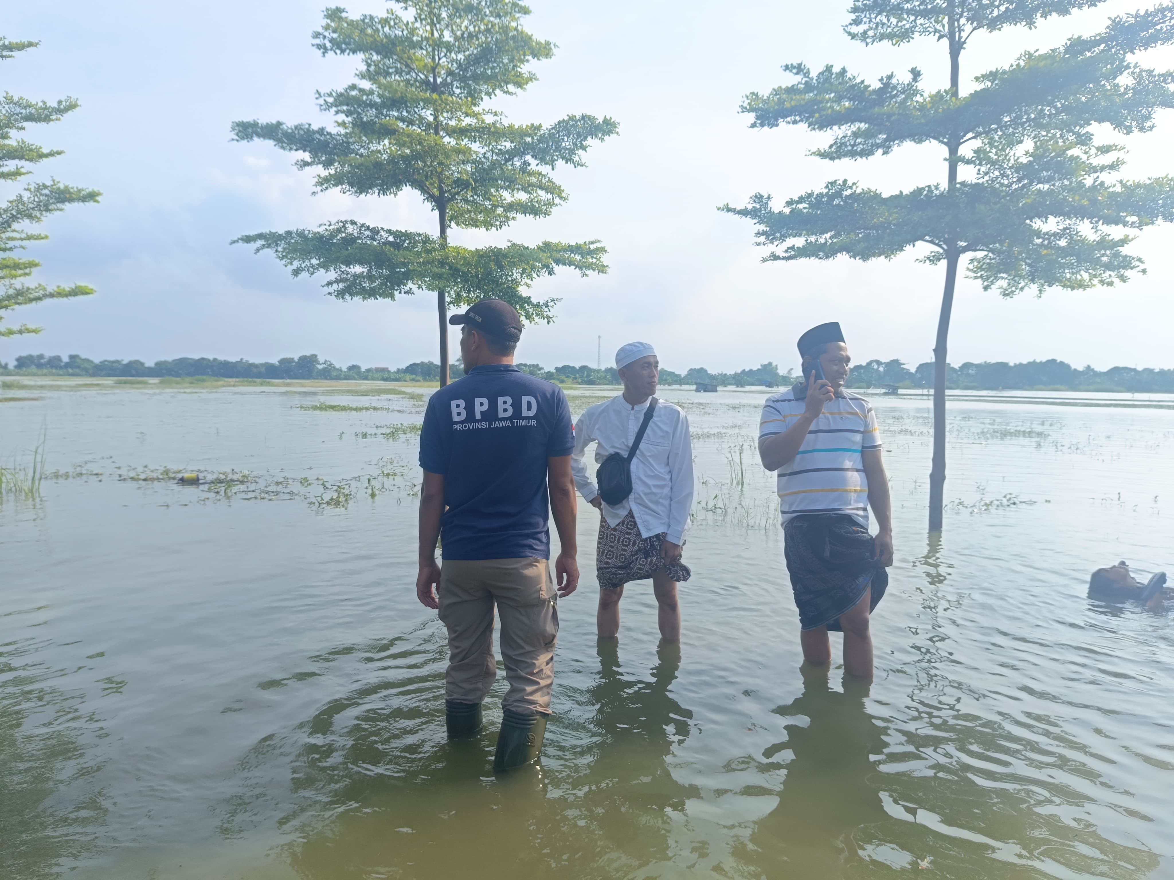 BANJIR : Kondisi banjir luapan sungai Bengawan Solo yang merendam puluhan hektar lahan sawah di Kecamatan Bungah dan Kecamatan Dukun, Gresik.