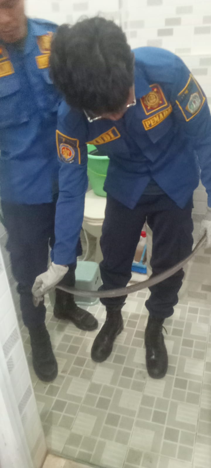 Tim Rescue Damkar Gresik berhasil menangkap ular berbisa tersebut dalam waktu singkat.