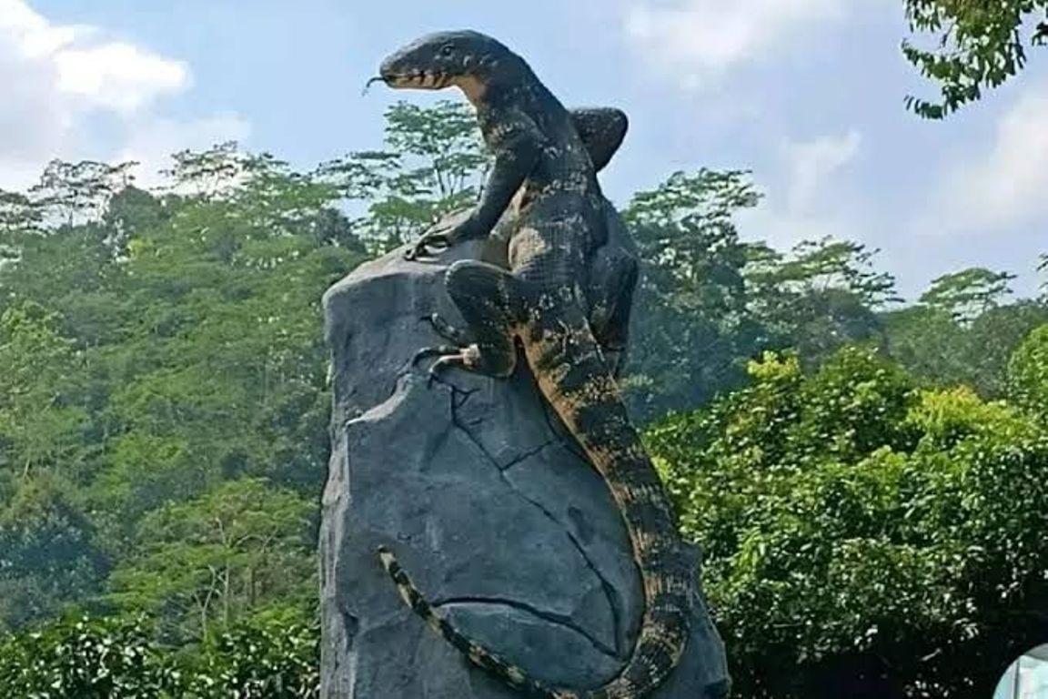 FENOMENA : Patung Biawak Raksasa di Jembatan Krasak Wonosobo Curi Perhatian Netizen, Jadi Primadona Swafoto.