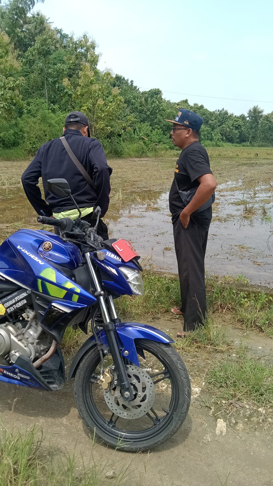 HARAPAN BARU : Pemkab Gresik Berencana Akan Salurkan Bantuan untuk Petani Terdampak Banjir pada Bulan Mei 2025.