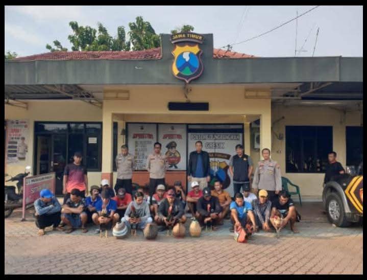 DIAMANKAN: Belasan pelaku penjudi sabung ayam diamankan di Mapolsek Ujungpangkah, Gresik.