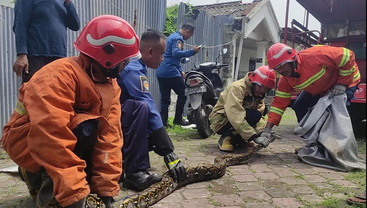 SIGAP : Call center 112 melayani semua jenis kedaruratan, termasuk kecelakaan, kebakaran, perampokan, hingga masalah kesehatan di rumah.