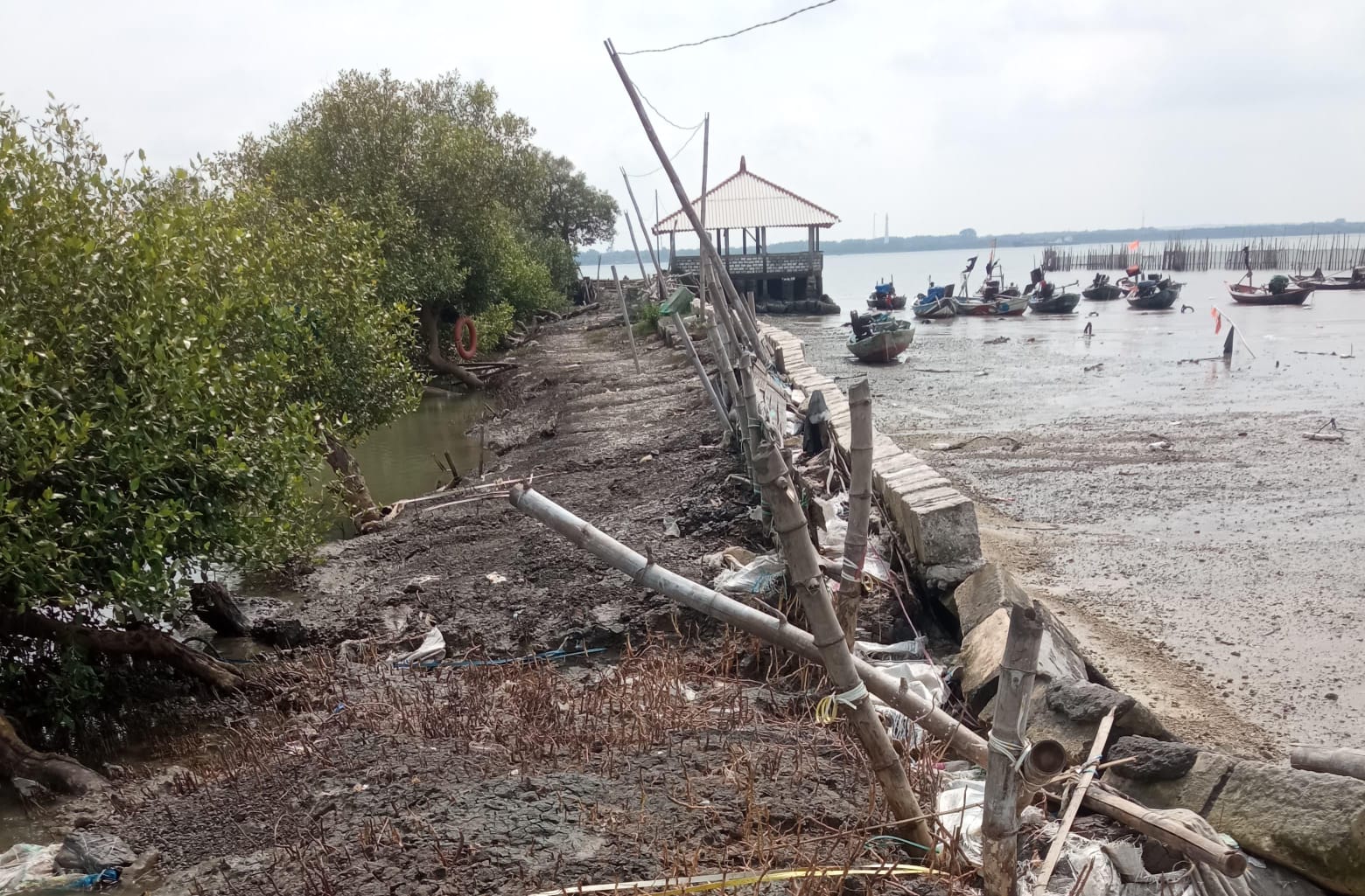ISTIMEWA GRESIK: Detik-Detik rob jebolkan puluhan tambak di Mengare, petambak merugi akibat ikan hanyut.
